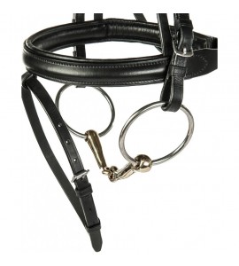 Filete Verdum, 16 mm, argentan, anillas de inox