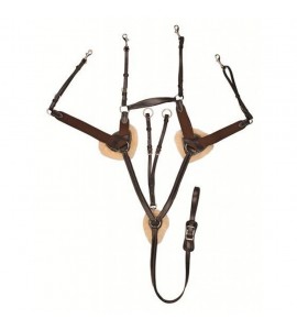 Pechopetral con martingala