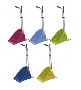 Recogedor con rastrillo