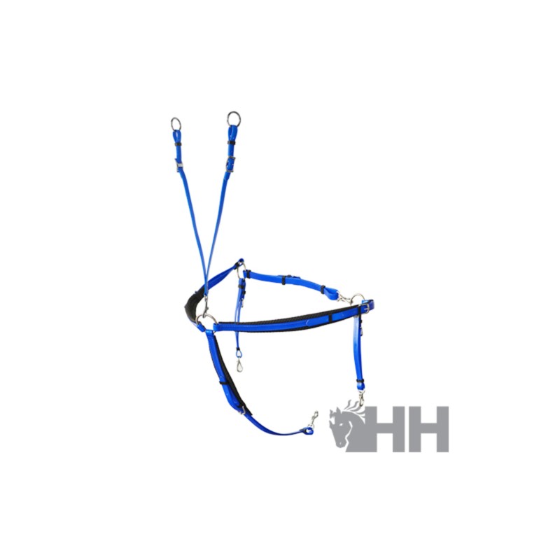 Pechopetral raid lexhis biothane