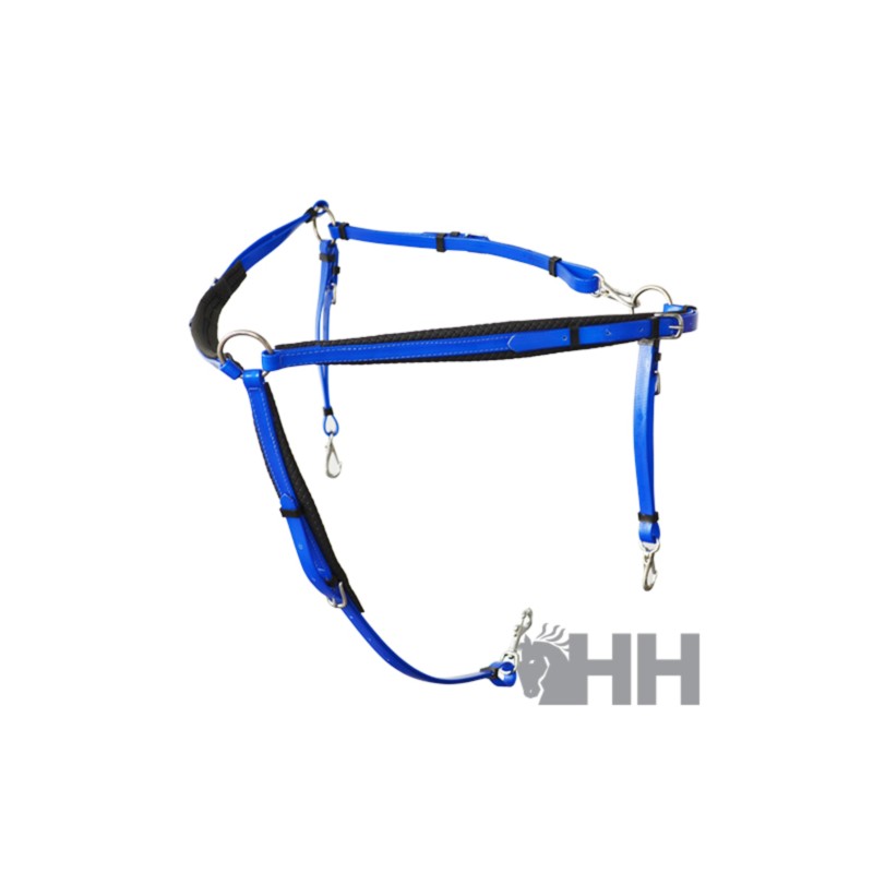 Pechopetral raid lexhis biothane