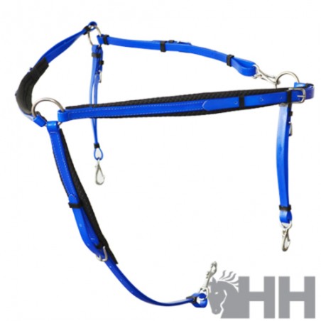 Pechopetral raid lexhis biothane