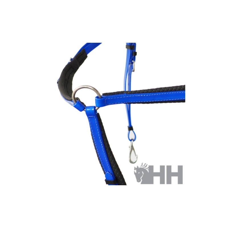 Pechopetral raid lexhis biothane