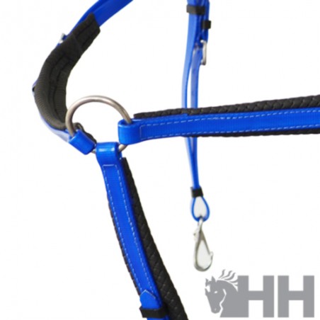 Pechopetral raid lexhis biothane