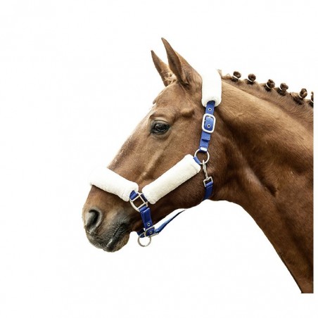 Cabezada -North Pole- con relleno