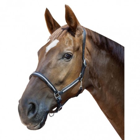 Cabezada de cuero -Diamond-