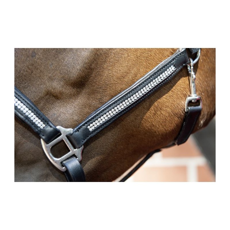 Cabezada de cuero -Diamond-