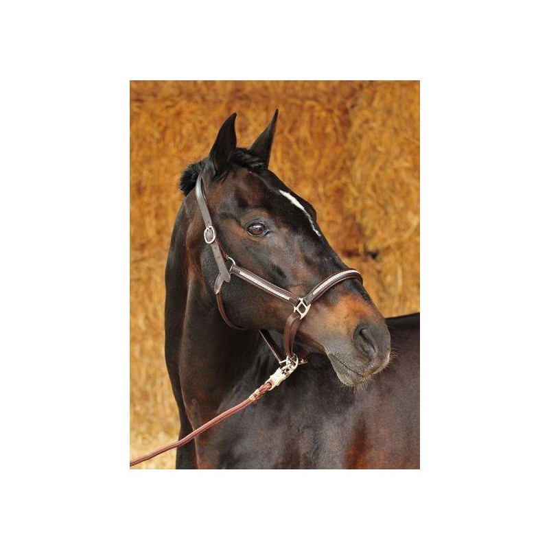 Cabezada de cuero -Diamond-