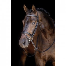 Cabezada de equitación -Economic-