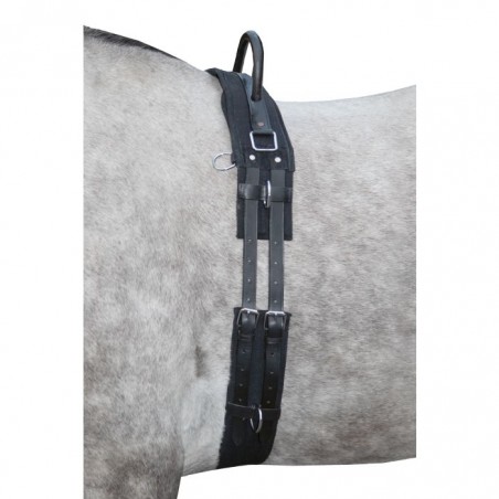 Cinchuelo para trabajar a la cuerda con asa