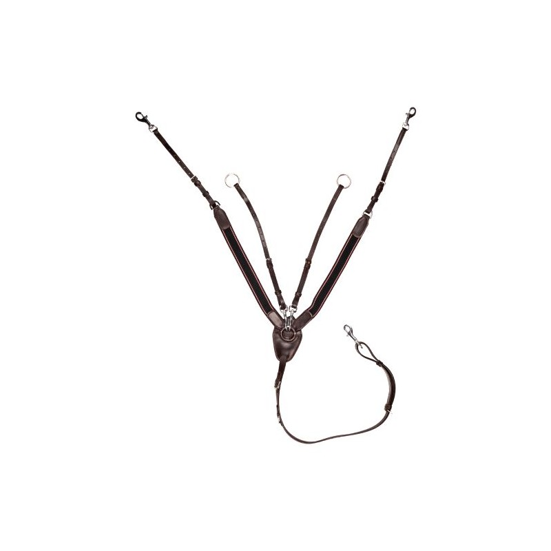 Pechopetral con martingala, con goma ancho