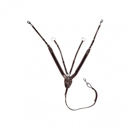 Pechopetral con martingala, con goma ancho