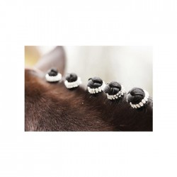 Gomas para crines -Crystal- 5 Unidades