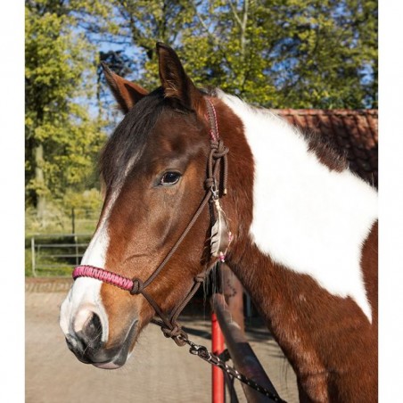 Cabezada de nudos -Arizona-