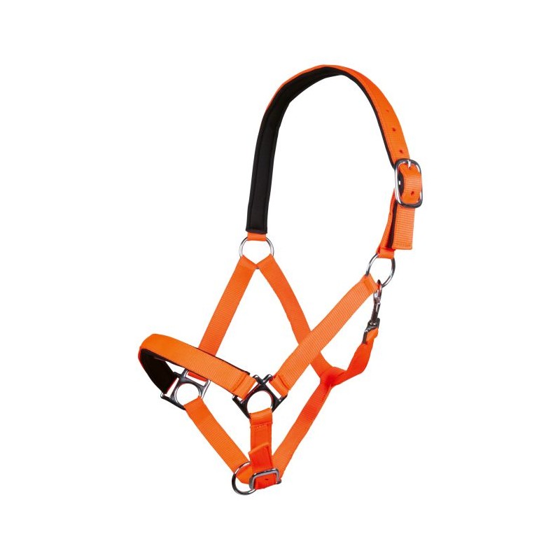 Cabezada -Stars Softice-, forro blando