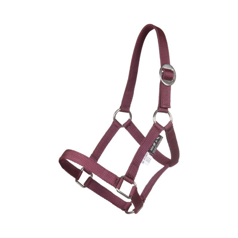 Cabezada Mini-Shetty