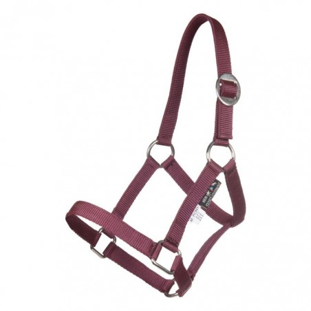 Cabezada Mini-Shetty