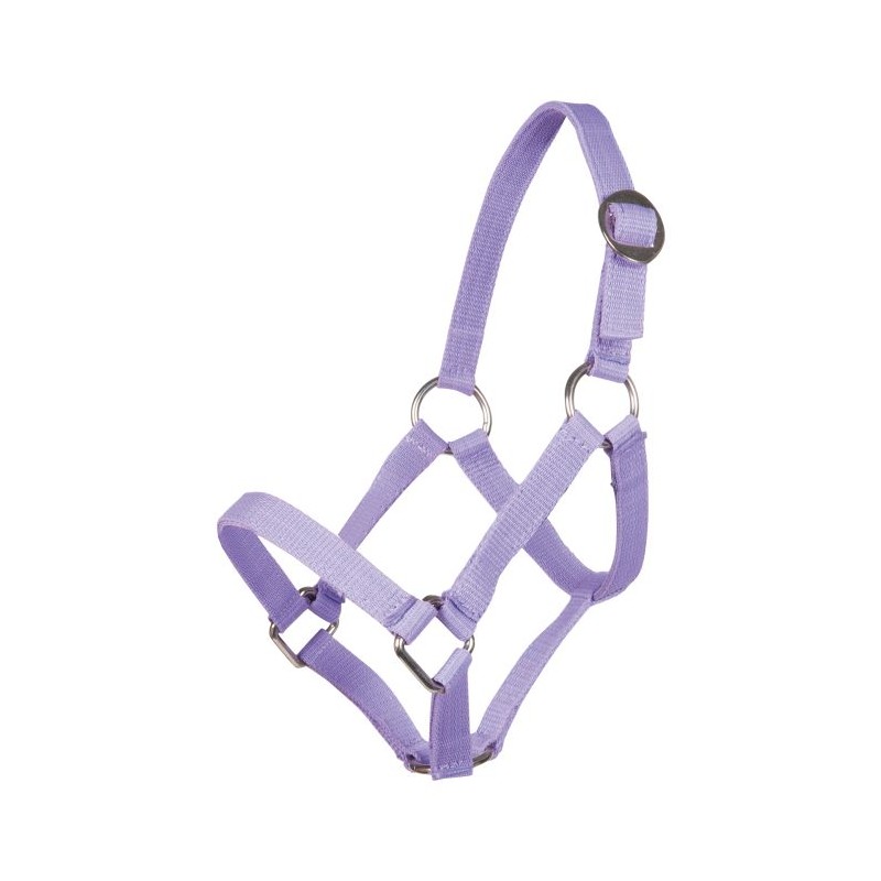 Cabezada Mini-Shetty