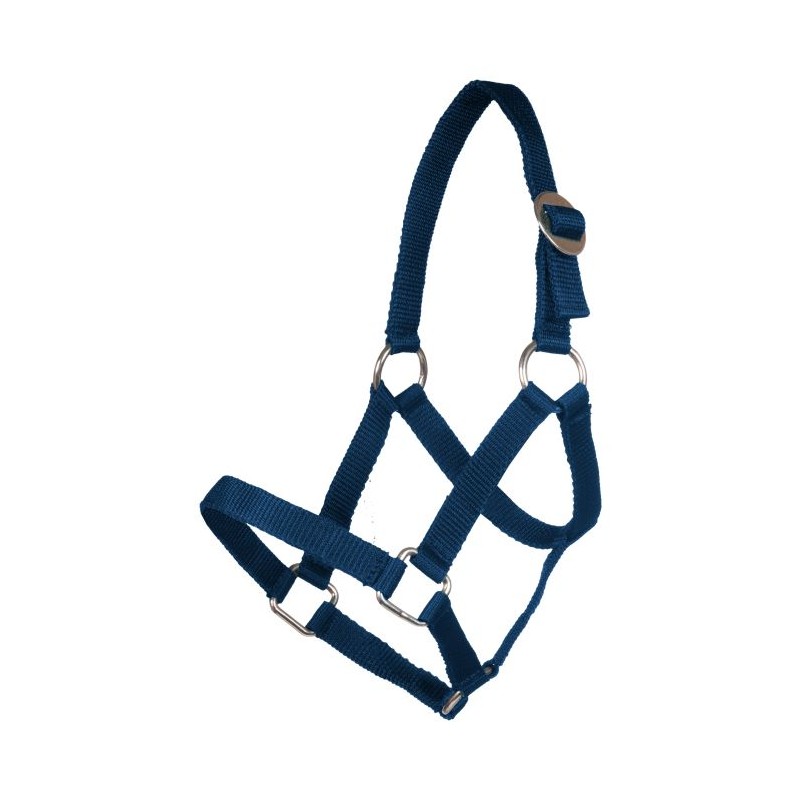 Cabezada Mini-Shetty