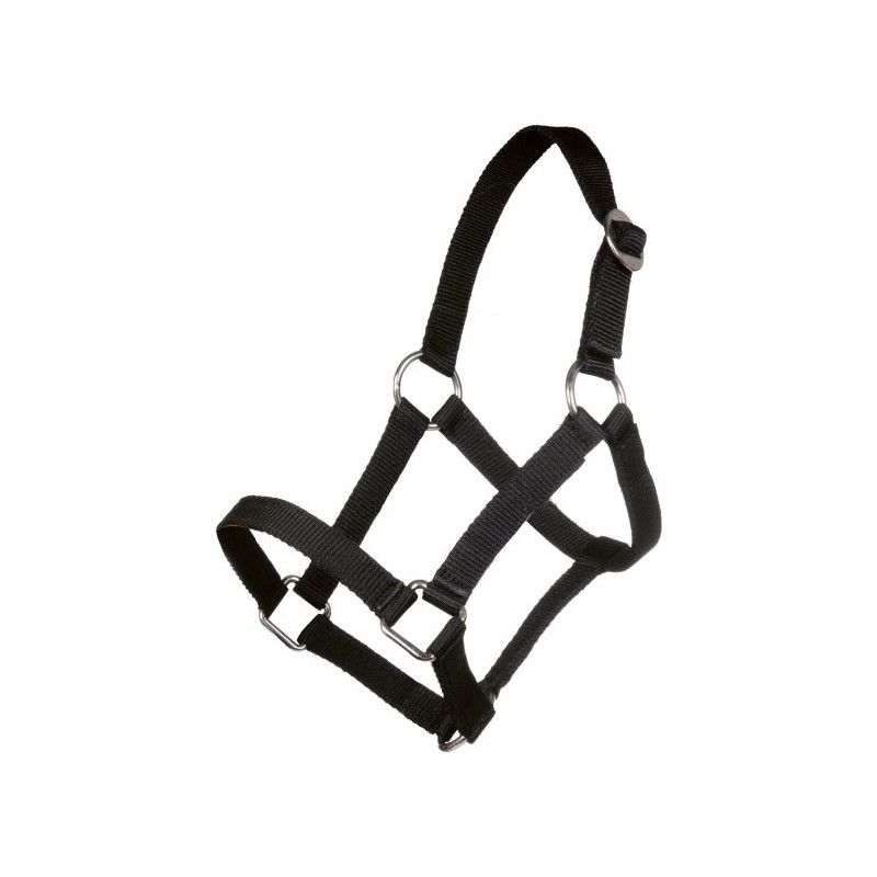 Cabezada Mini-Shetty