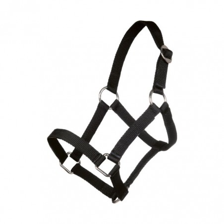 Cabezada Mini-Shetty