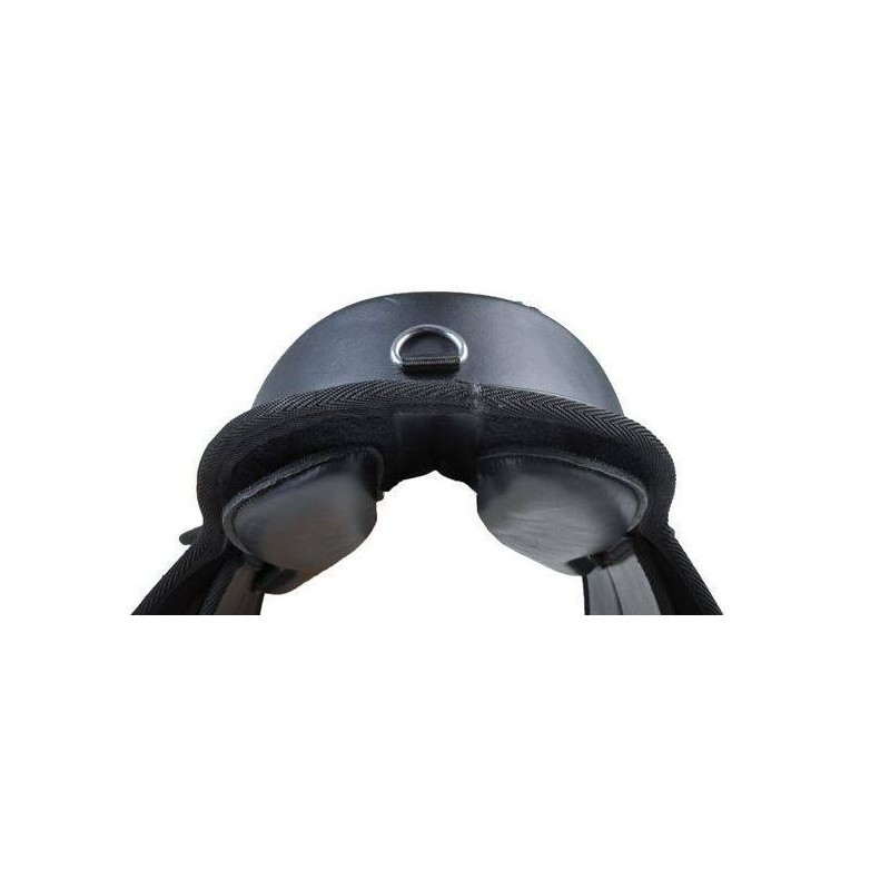 Silla de Shetty -Starter-