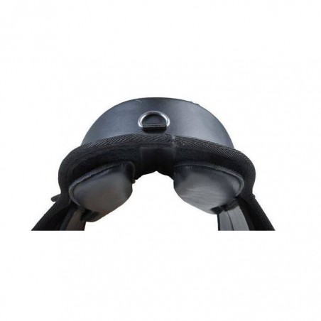 Silla de Shetty -Starter-