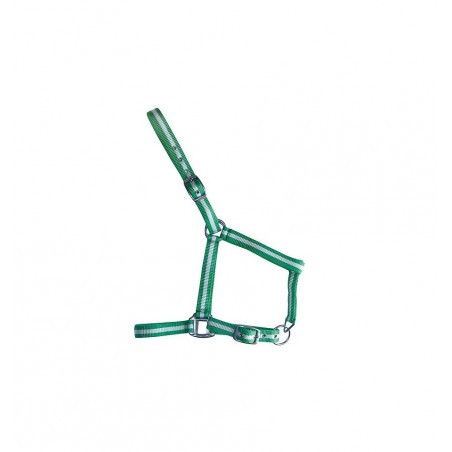 Cabezada cuadra iQuus Nylon POTRO