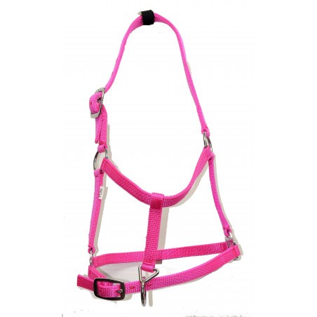 Cabezada cuadra iQuus Nylon POTRO