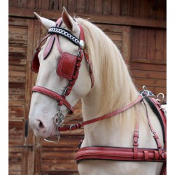 Enganche cuero iQuus RONDE 2