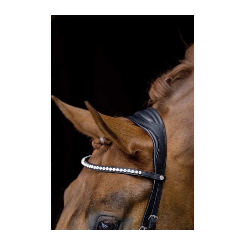 Cabezada -Pro Anatomic-