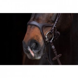 Cabezada -Anatomic Sports- 2