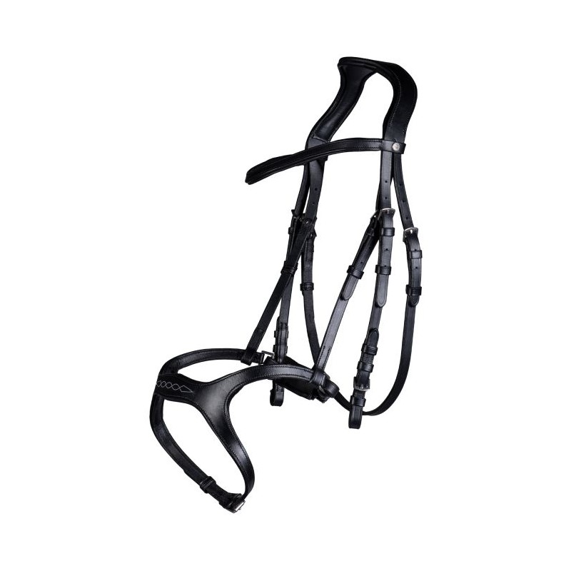 Cabezada -Anatomic Sports-