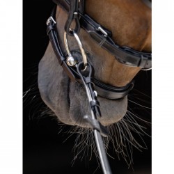 Protector para cierrabocas