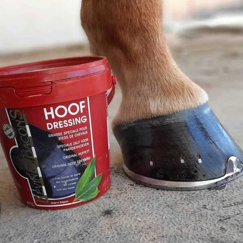 POMADA PARA CASCOS KEVIN BACON'S HOOF DRESSING 1L