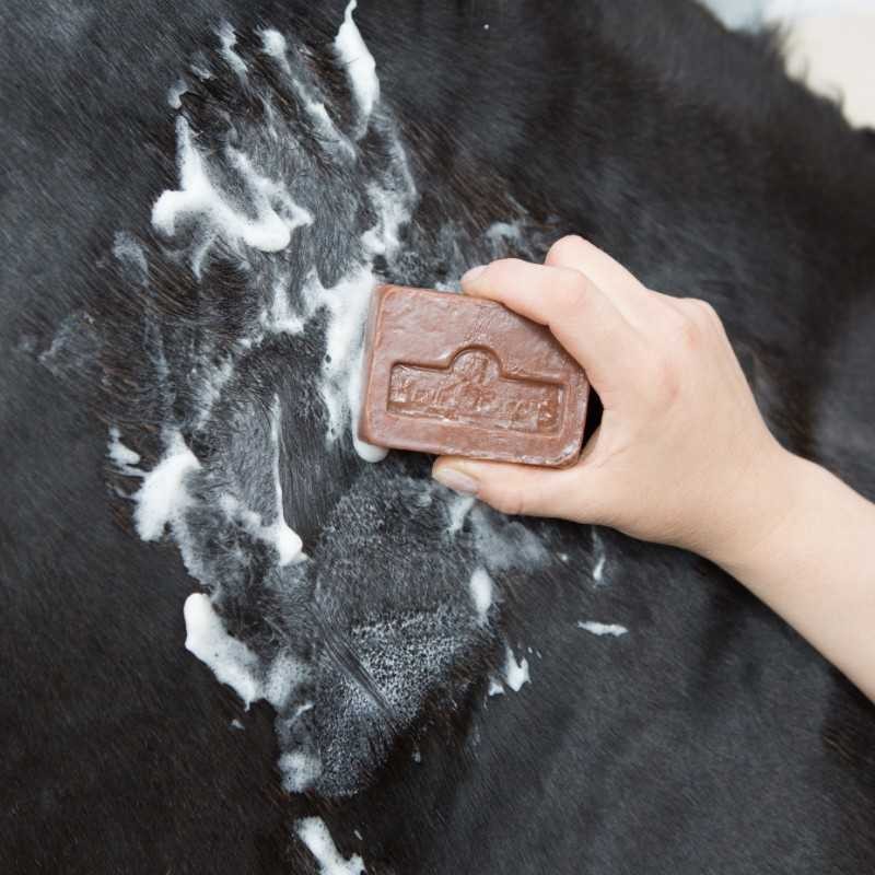 KEVIN BACON'S ACTIVE SOAP CON ESPONJA