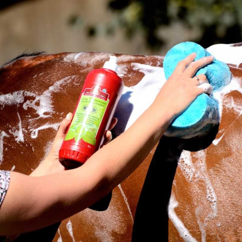 KEVIN BACON'S CHAMPÚ LUCY DIAMONDS GREEN 1L