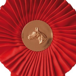 ESCARAPELA 1 COLOR CON CENTRO METÁLICO 2