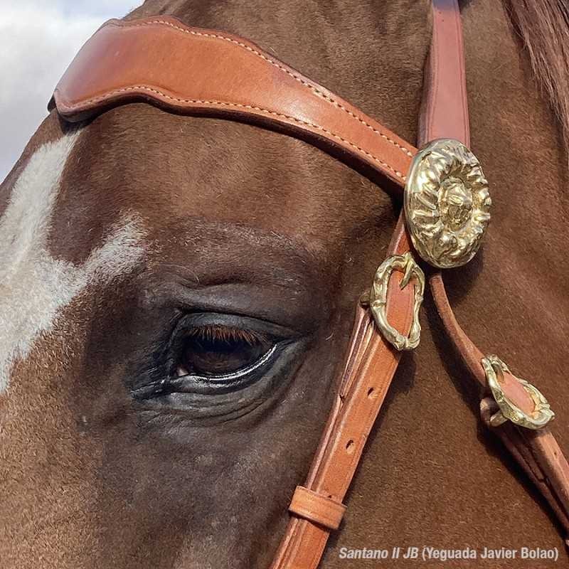 CABEZADA MARJOMAN MODELO PORTUGUÉS DE PRESENTACIÓN