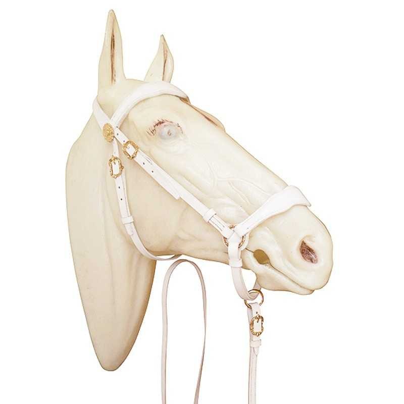 CABEZADA MARJOMAN MODELO PORTUGUÉS DE PRESENTACIÓN