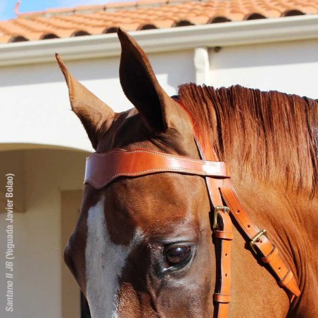 CABEZADA MARJOMAN MODELO PORTUGUÉS DE TRABAJO UNA RIENDA