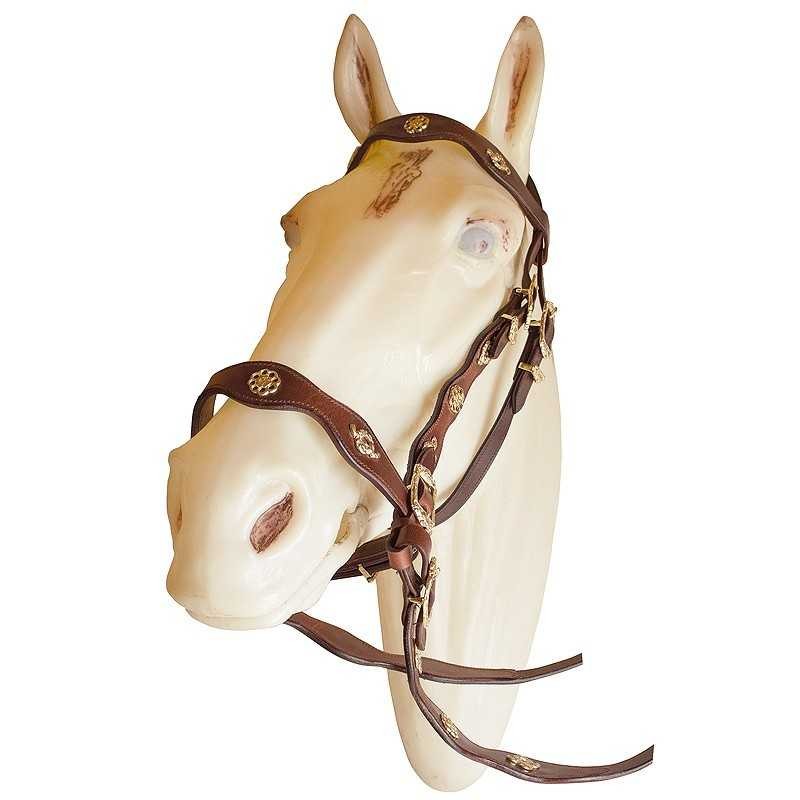 CABEZADA ECONÓMICA CORTESIA UNA RIENDA