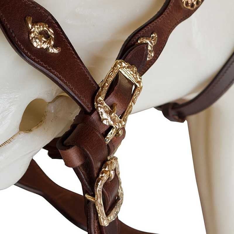 CABEZADA ECONÓMICA CORTESIA UNA RIENDA