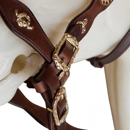 CABEZADA ECONÓMICA CORTESIA UNA RIENDA