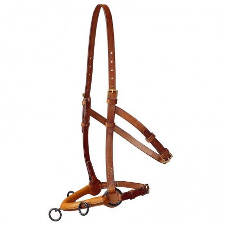 CABEZADA MARJOMAN DE DOMA KAPSUN