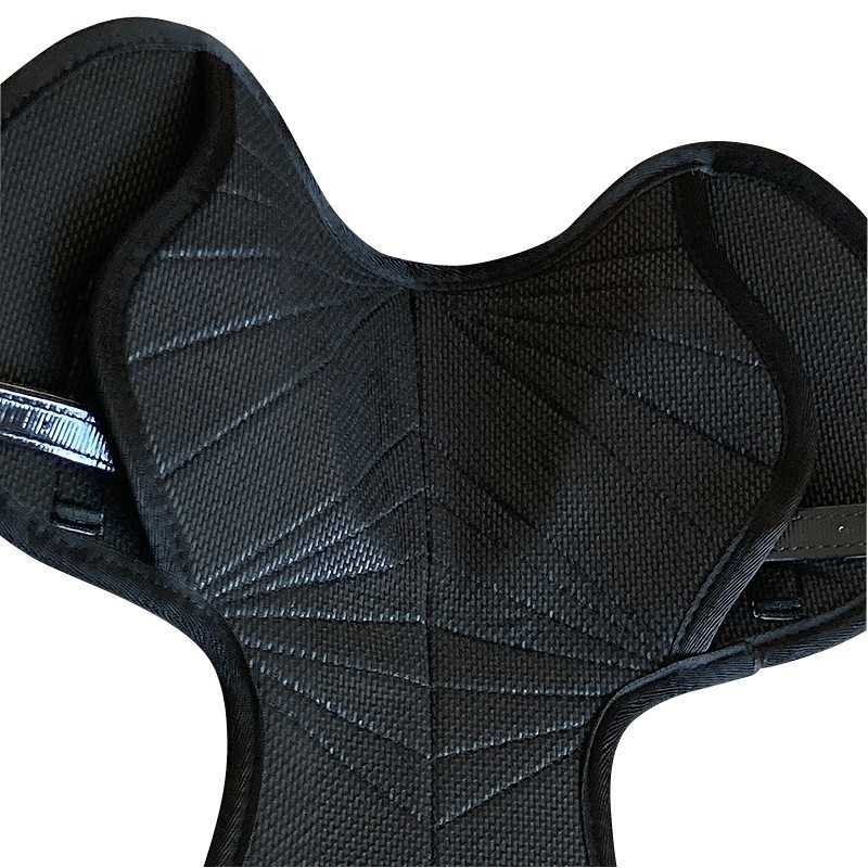 SILLA STATUS DE CARRERAS