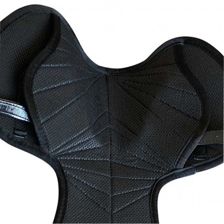 SILLA STATUS DE CARRERAS