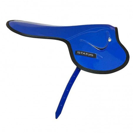 SILLA STATUS DE CARRERAS