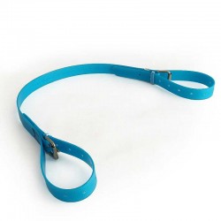 CORREA DE RAMASSAGE DE BIOTANE 2