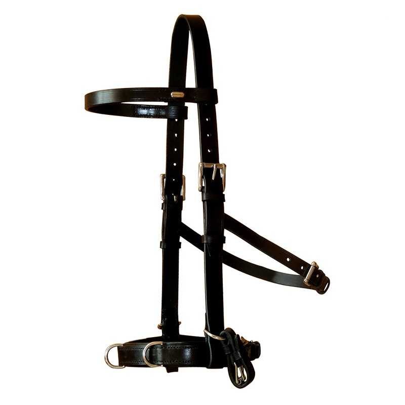 CABEZADA VIENA CON FRANCALETES